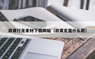中国香港寂寞行走素材下载网站（寂寞走是什么歌）